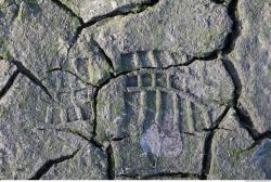 Photo of Various Textures